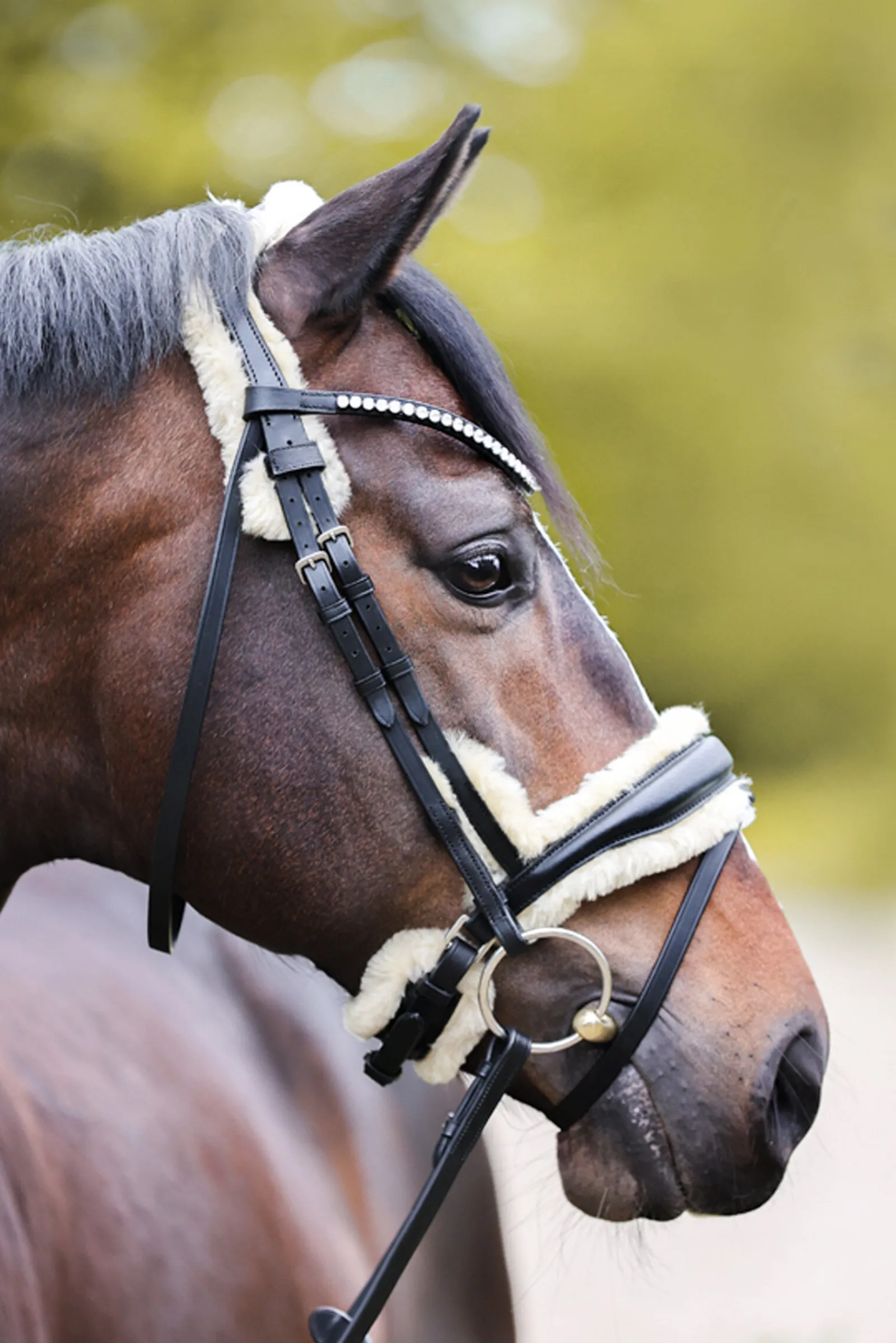 Hot Joyce KavalSH4 Bridle Ponni Hodelag Og Grimer|Hodelag & Nesereimer