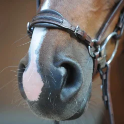 Hot Levana hodelag Hodelag & Nesereimer