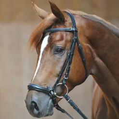 Sale Line ecoline hodelag, hanoveransk nesereim Ponni Hodelag Og Grimer|Hodelag & Nesereimer