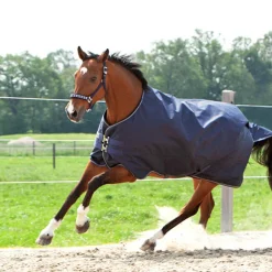 New Montreal utedekken, 100 gram Regndekken
