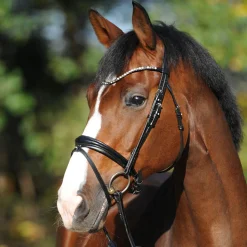 Best Reyna KavalSH4 hodelag Ponni Hodelag Og Grimer|Hodelag & Nesereimer