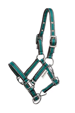 Hot Shorty Grime for Shetlandsponnier Grimer