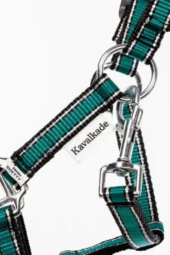 Hot Shorty Grime for Shetlandsponnier Grimer