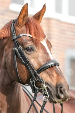 Discount Sonya Weymouth Bridle Hodelag & Nesereimer