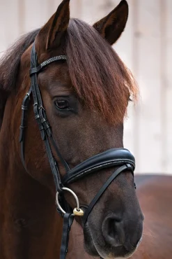 Hot Victoria Hodelag Ponni Hodelag Og Grimer|Hodelag & Nesereimer