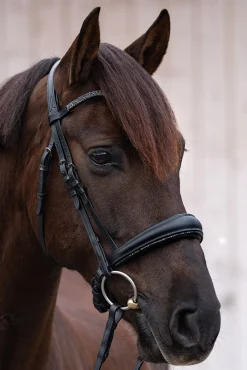 Hot Victoria Hodelag Ponni Hodelag Og Grimer|Hodelag & Nesereimer