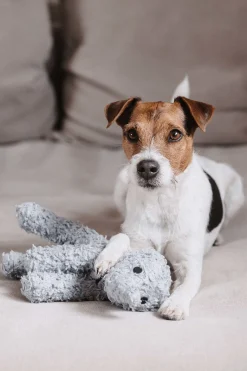 New Kentucky Dogwear Elephant hundeleke Hundeleker