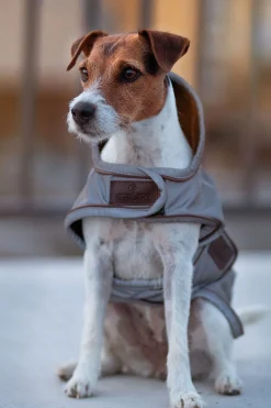 Hot Kentucky Dogwear hundedekken, reflekterende og vannavvisende Hundeklær Og Hundedekken