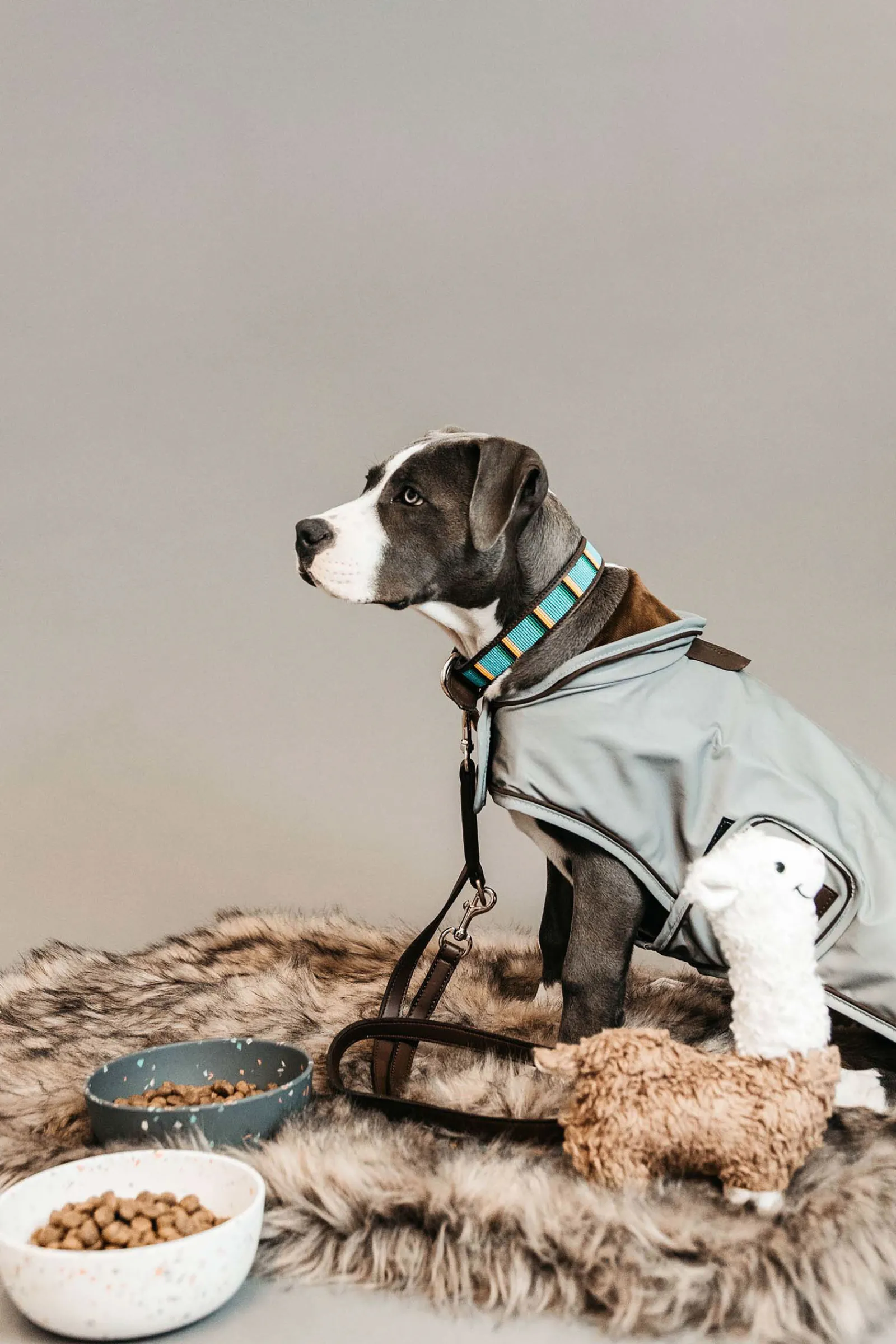 Outlet Kentucky Dogwear Hundehalsbånd med Perler Hundebånd