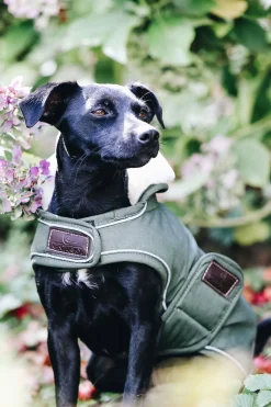 Sale Kentucky Dogwear vanntett hundedekken Hundeklær Og Hundedekken