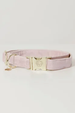 Best Kentucky Dogwear Velvet hundehalsbånd Hundebånd