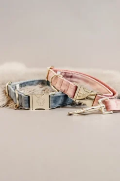 Best Kentucky Dogwear Velvet hundehalsbånd Hundebånd