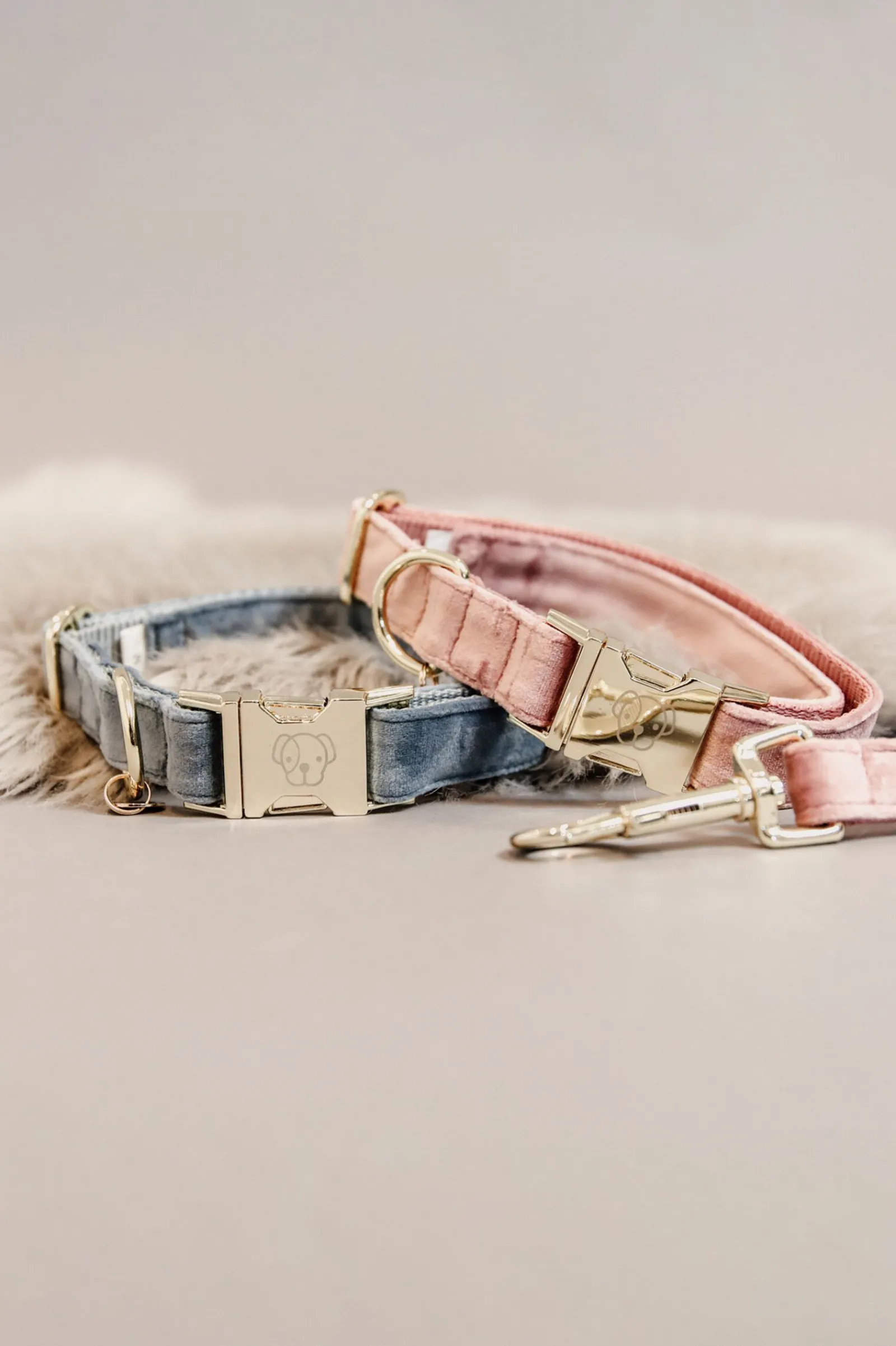 Best Kentucky Dogwear Velvet hundehalsbånd Hundebånd