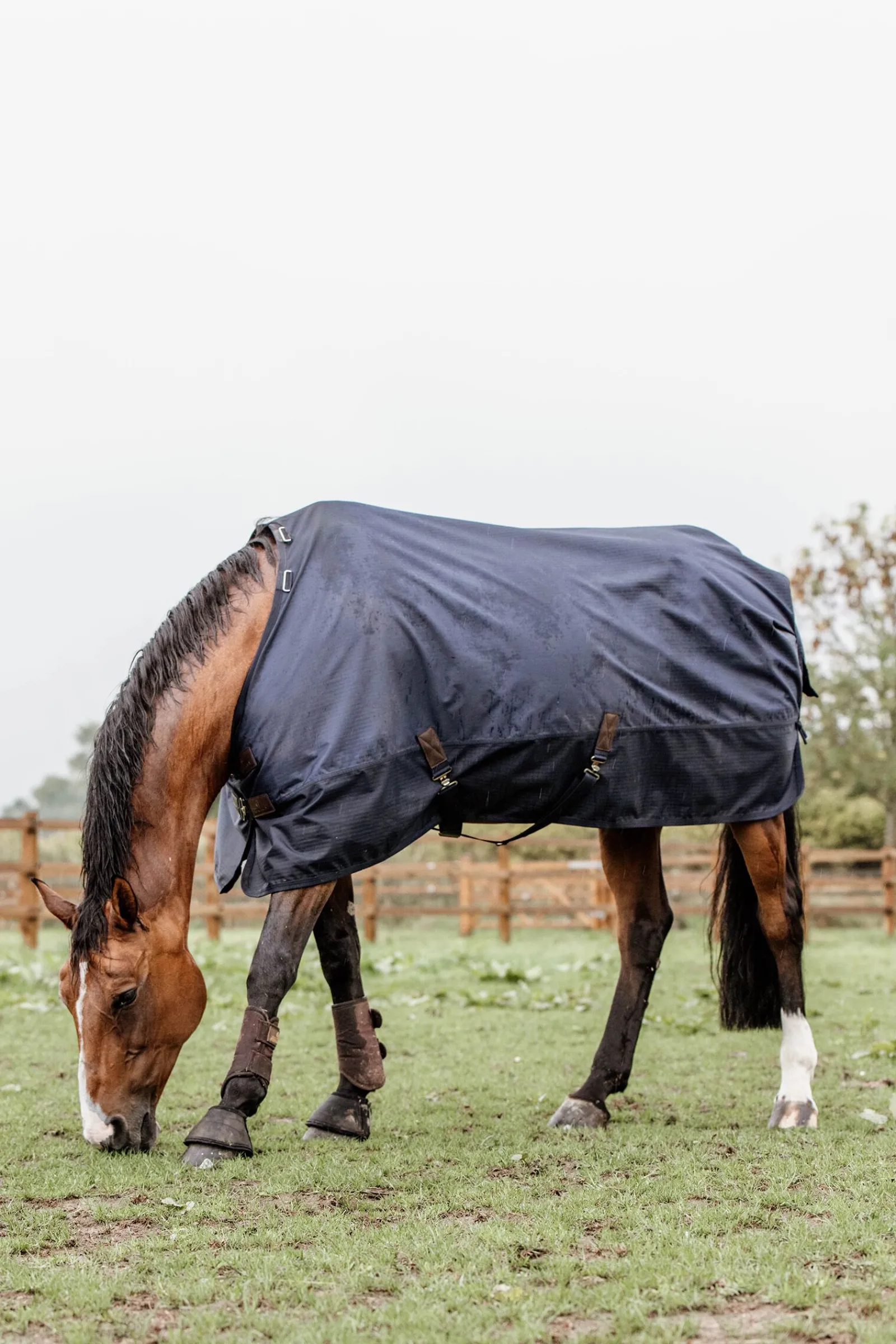 Sale Horsewear All Weather utedekken, 300 gram Overgangsdekken & Vinterdekken
