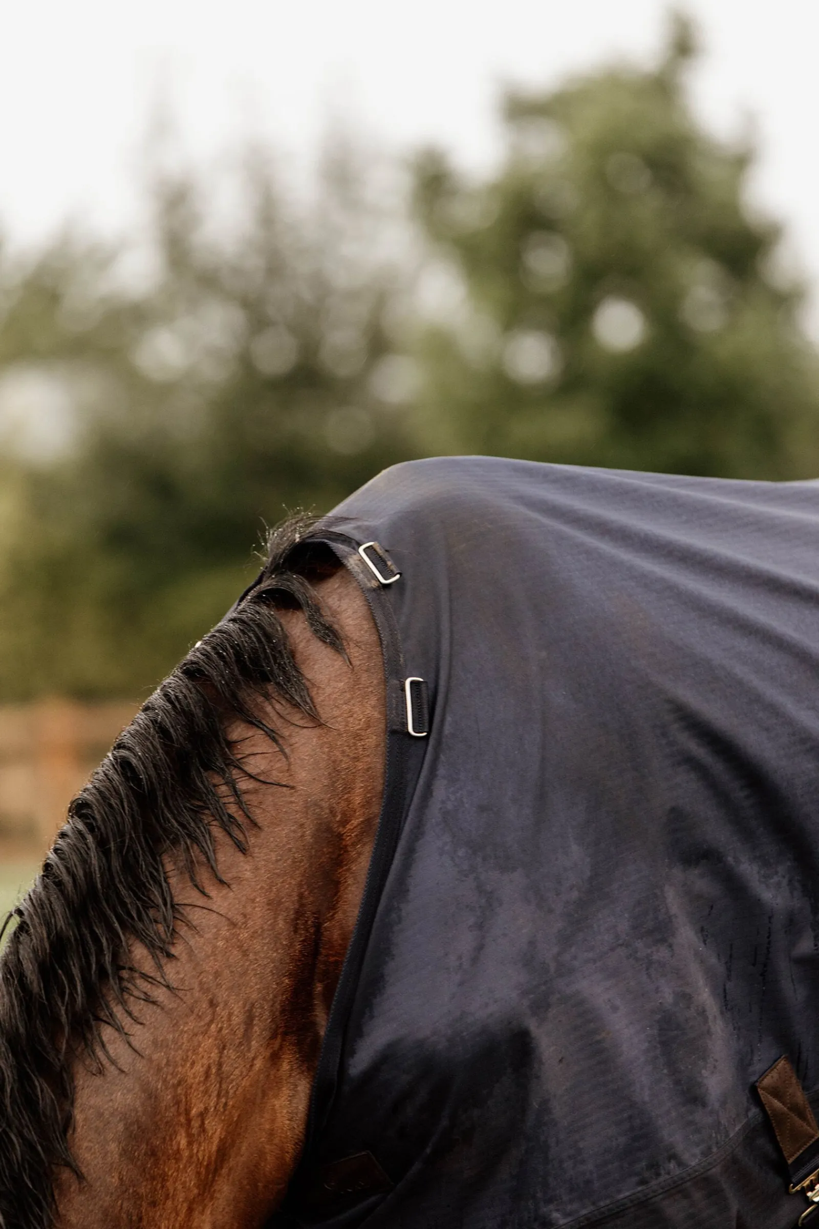Sale Horsewear All Weather utedekken, 300 gram Overgangsdekken & Vinterdekken