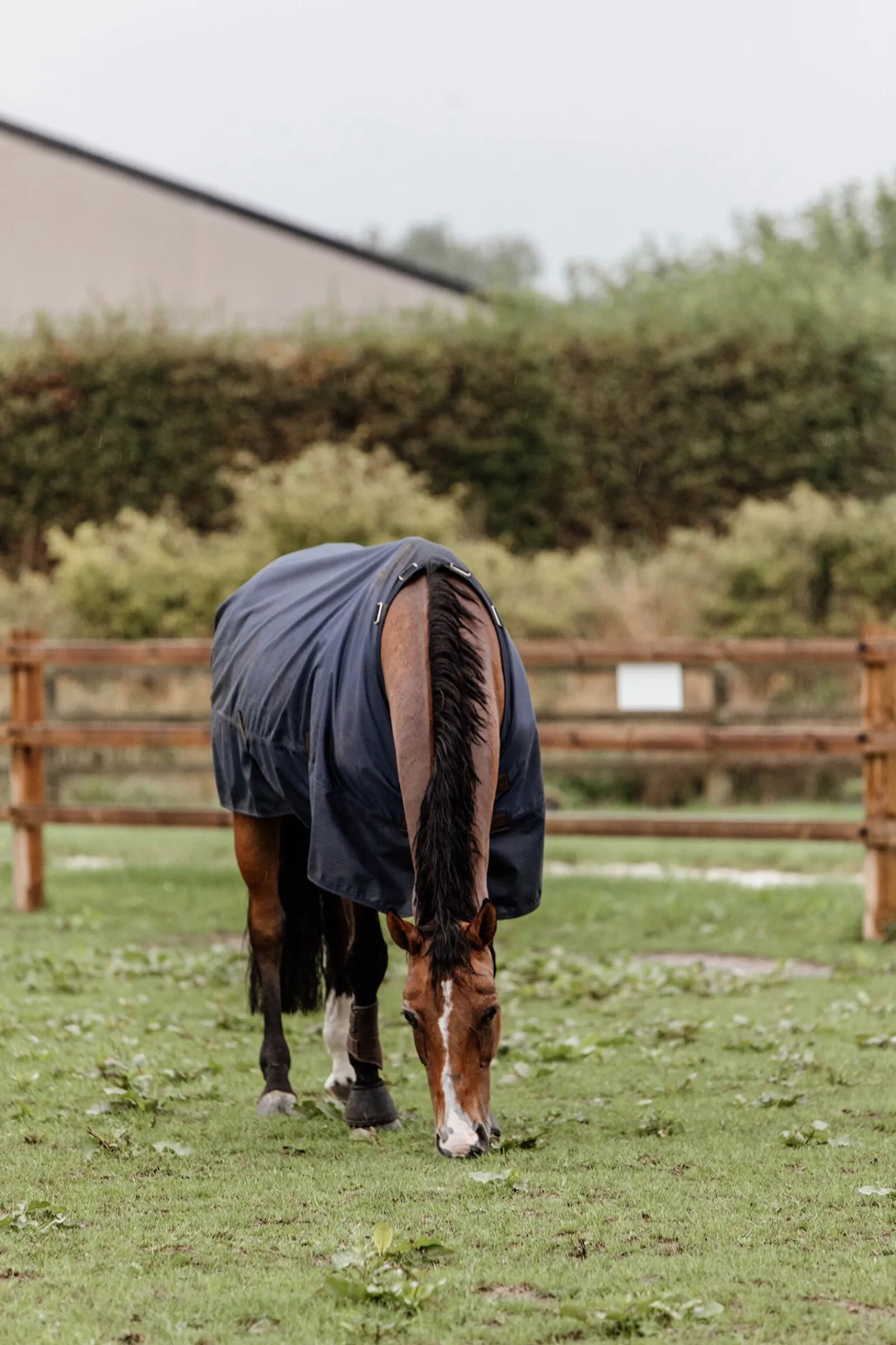 Sale Horsewear All Weather utedekken, 300 gram Overgangsdekken & Vinterdekken