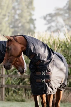 Best Horsewear All Weather Waterproof Classic utedekken, 0 gram Regndekken