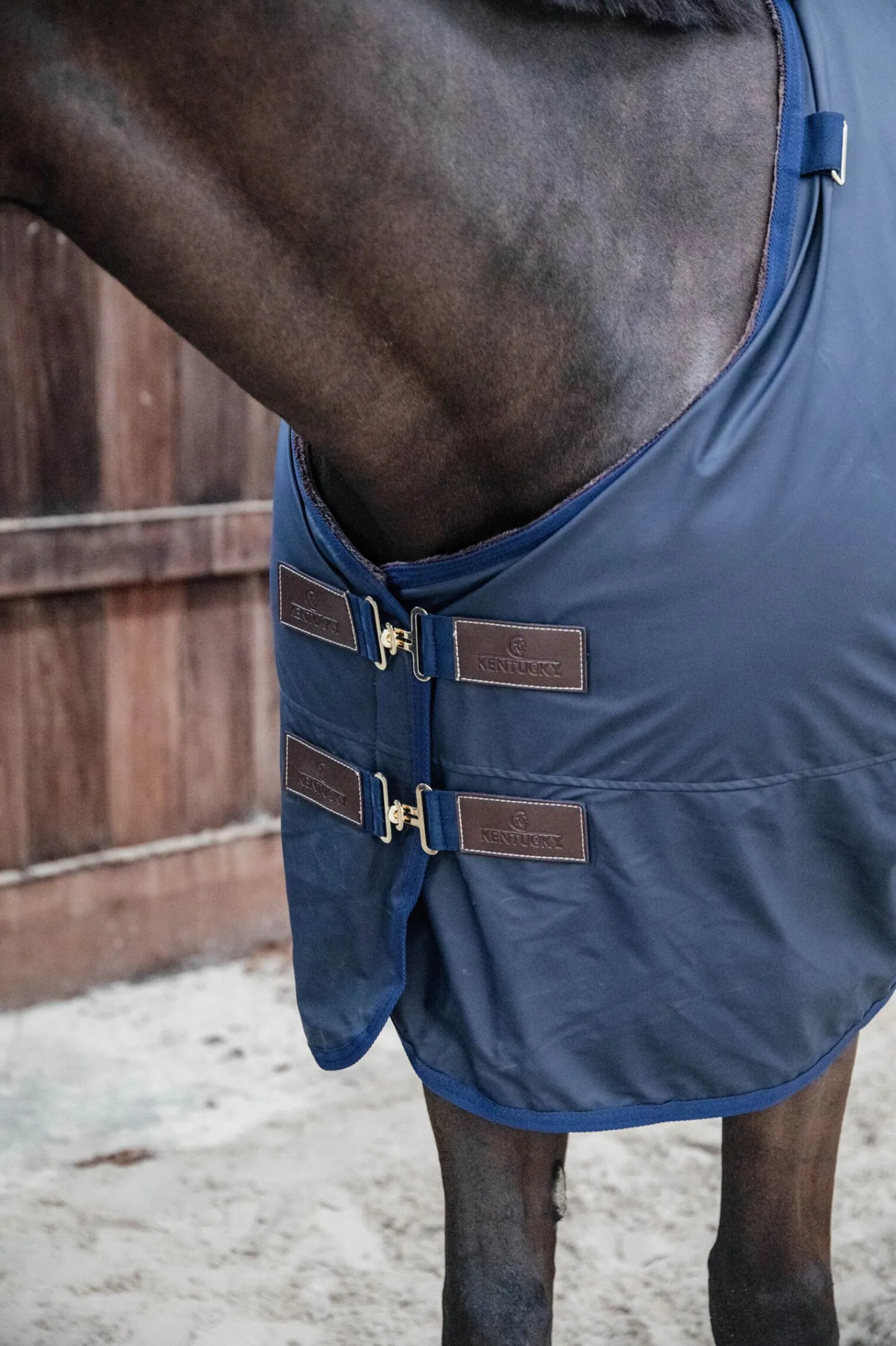 Best Horsewear All Weather Hurricane utedekken, 150 gram Overgangsdekken & Vinterdekken