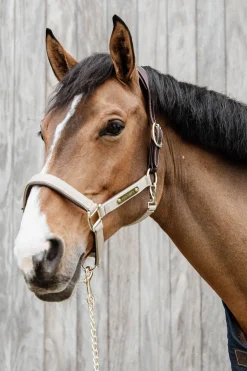 Discount Horsewear anatomisk nylongrime Grimer