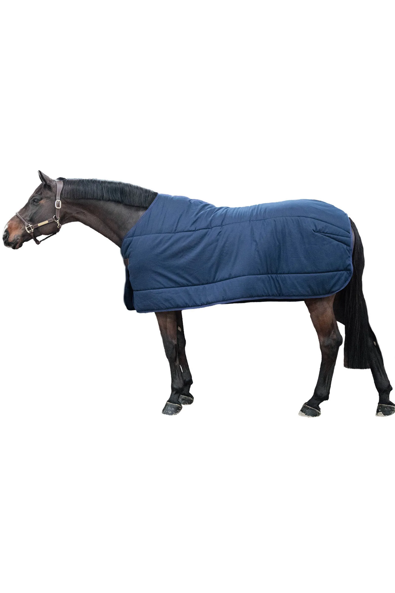 Hot Horsewear Classic underdekken, 300 gram Stalldekken