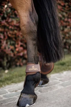 Sale Horsewear Deep bakbeinsbelegg Bakbeinsbelegg Og Stryksokker