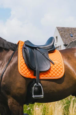 Sale Horsewear dressursjabrak Diamond Rope Dressursjabraker