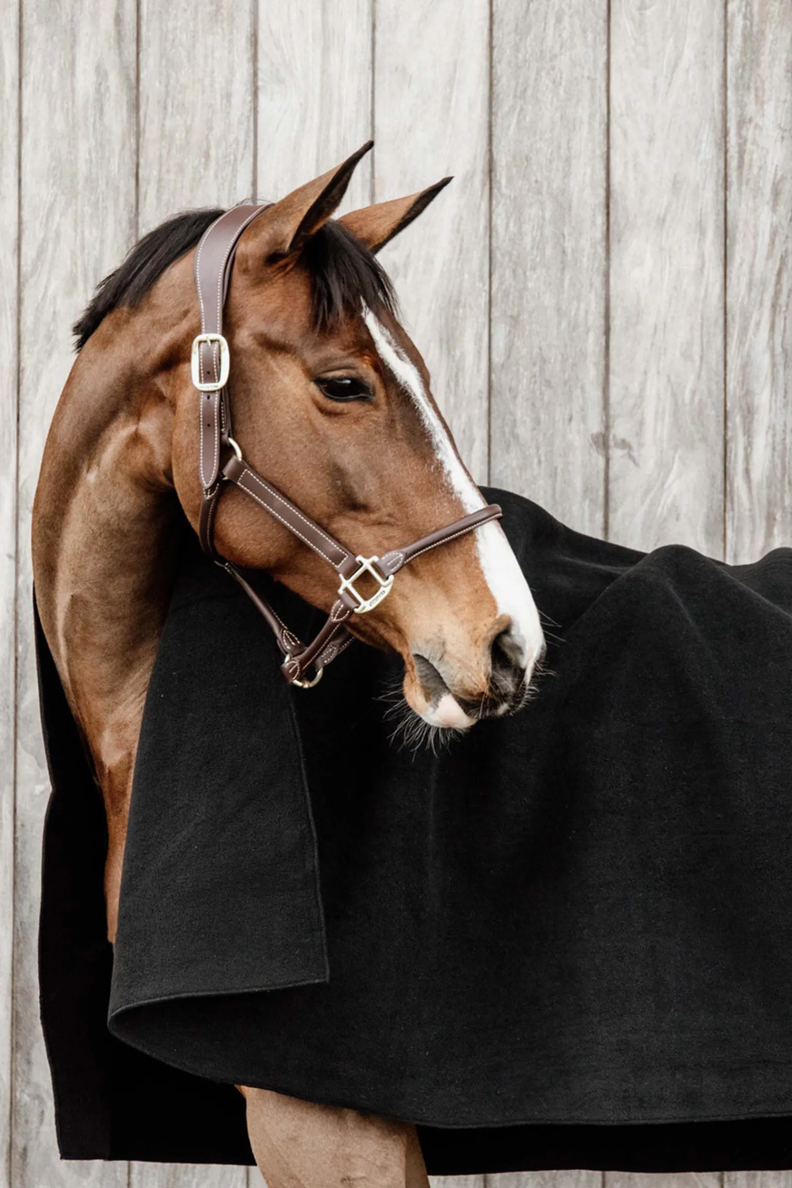 Sale Horsewear Heavy fleecedekken Ulldekken Og Svettedekken