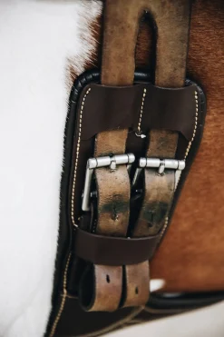 Discount Horsewear kort gjord med mageplate Gjorder