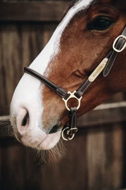 Horsewear lærgrime for stell Lærgrimer