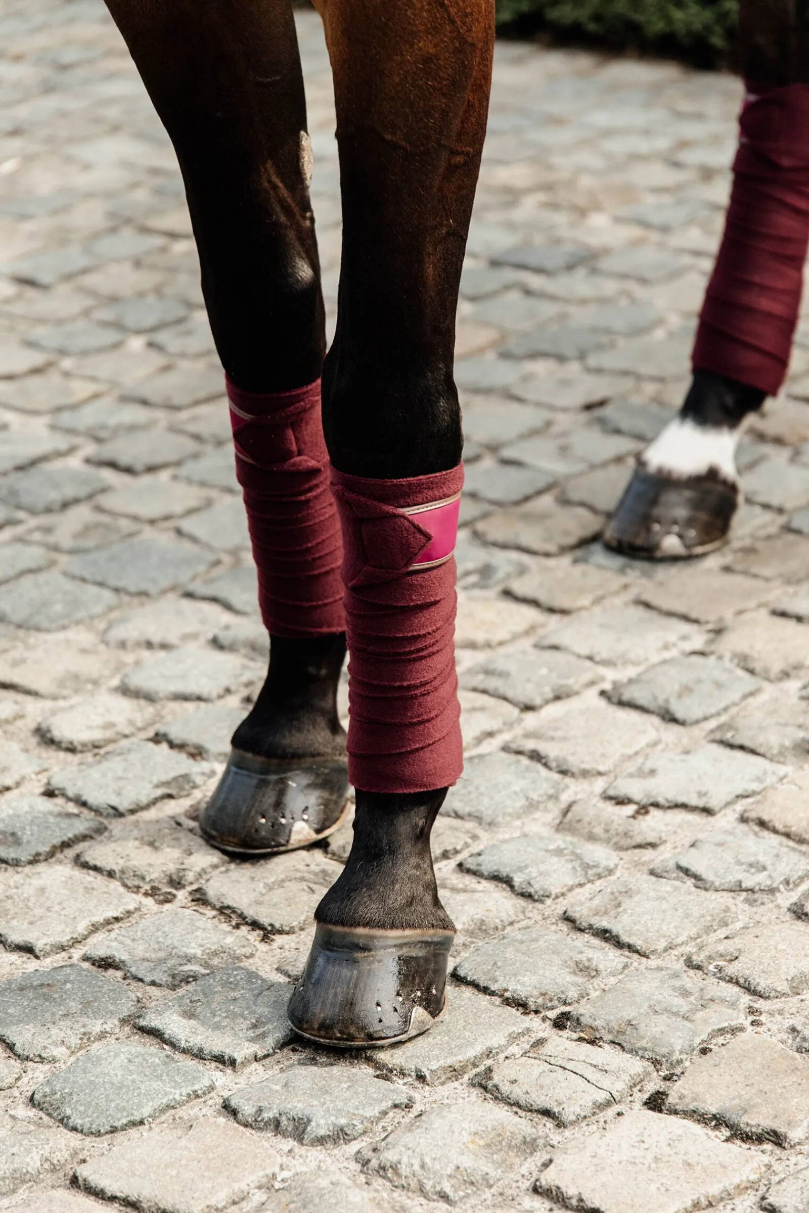 Best Horsewear Polar Fleece Polos Bandasjer