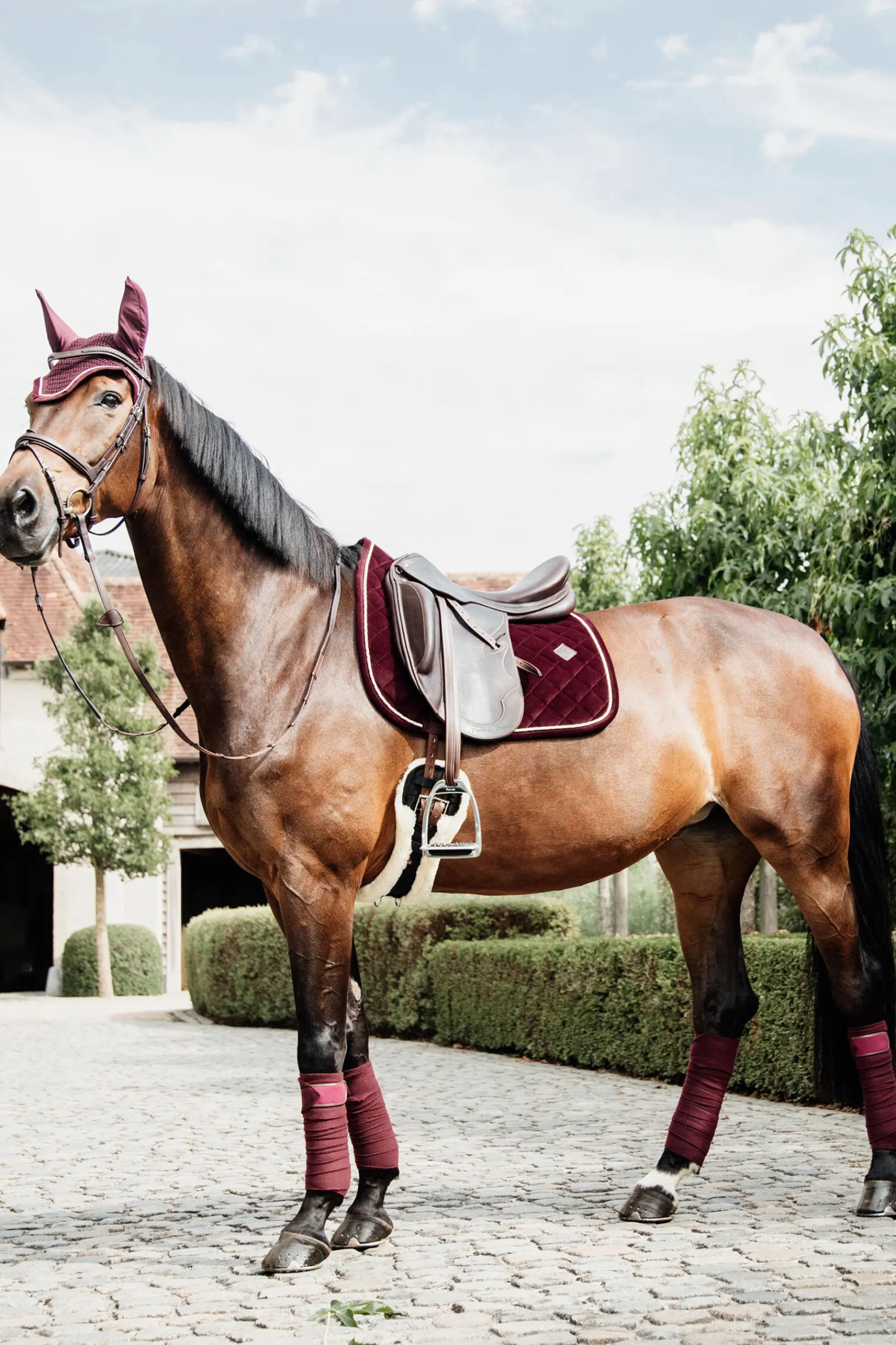 Best Horsewear Polar Fleece Polos Bandasjer