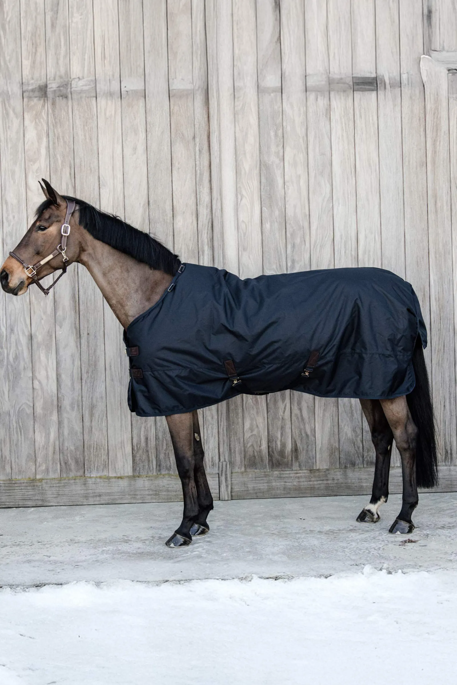 Clearance Horsewear Pony All Weather Classic utedekken, 150 gram Ponnidekken|Ponnidekken