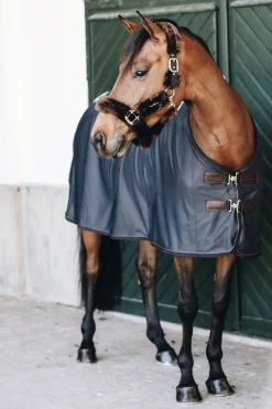 Online Horsewear Recuptex magnetisk dekken Terapidekken