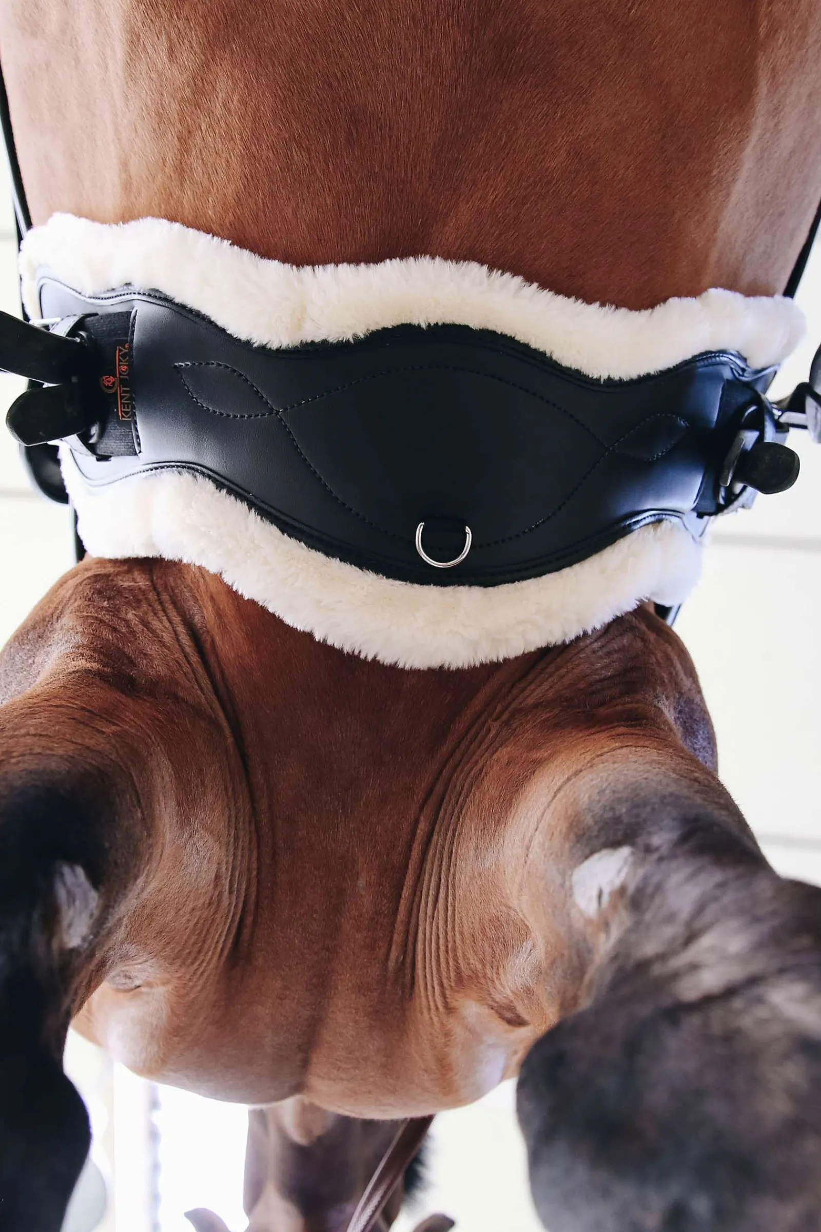 Horsewear saueskinn anatomisk gjord, kort Gjorder