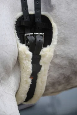 Online Horsewear saueskinn kort gjord Gjorder