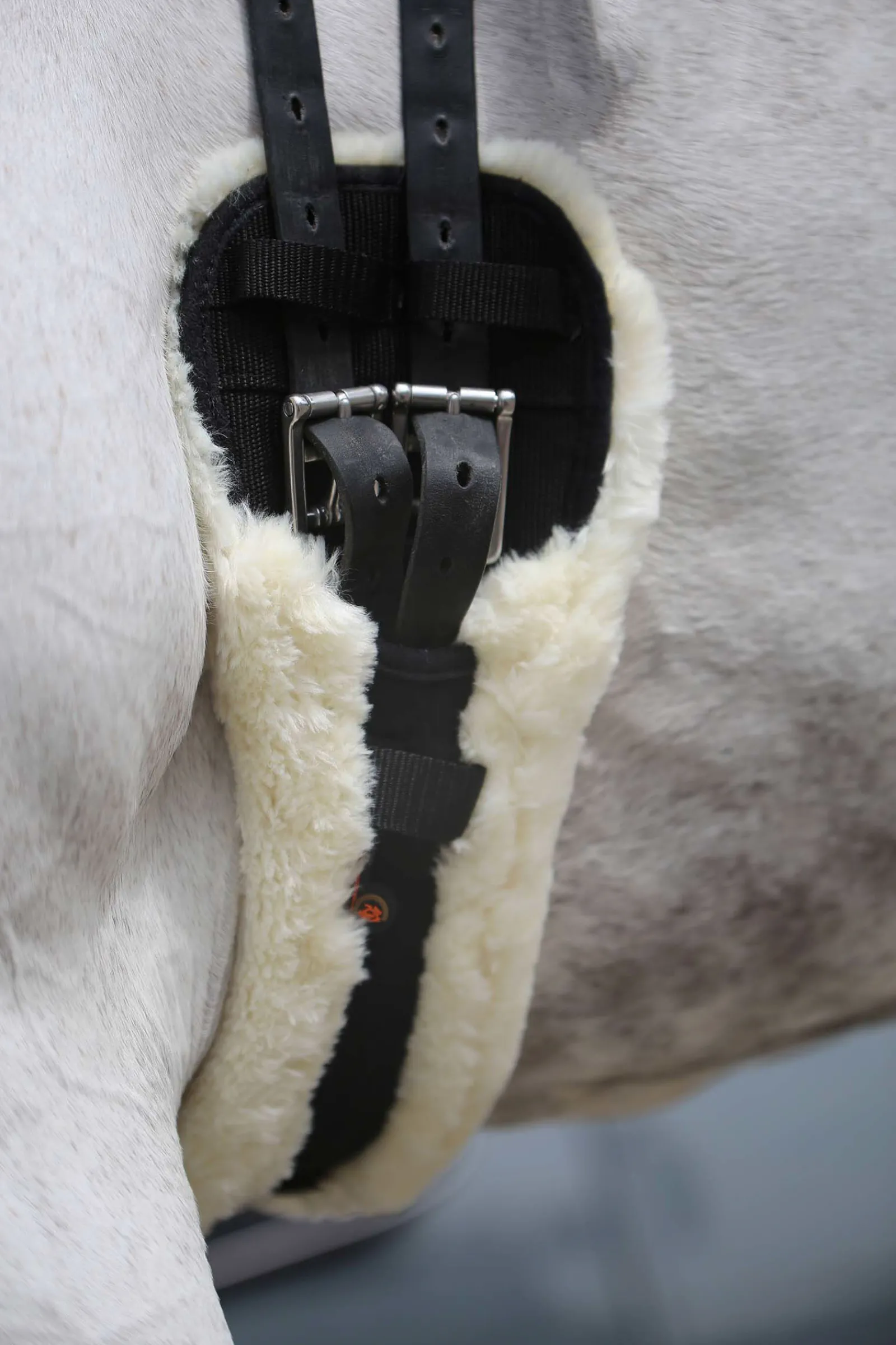 Online Horsewear saueskinn kort gjord Gjorder