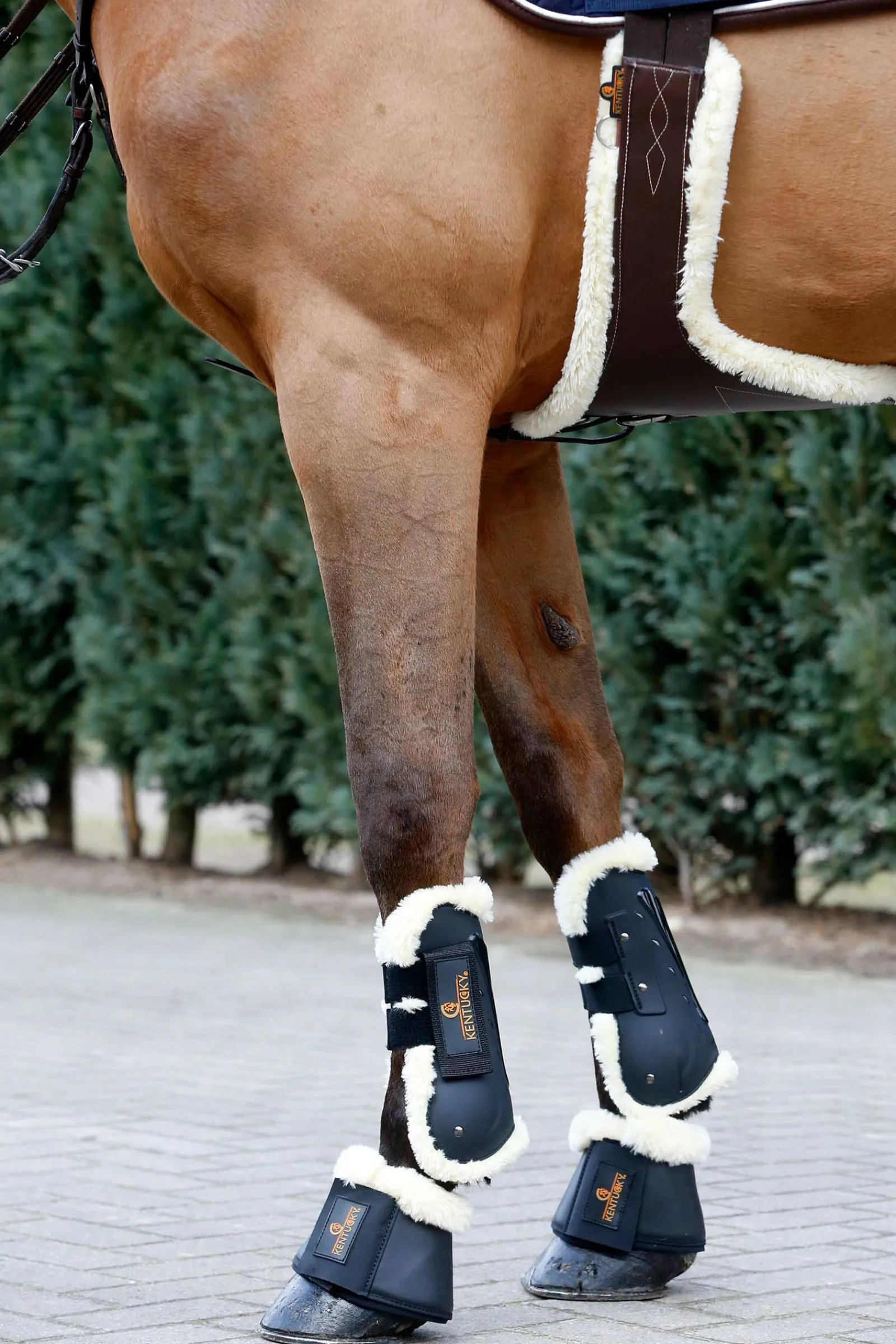 New Horsewear saueskinnsgjord med mageplate Gjorder
