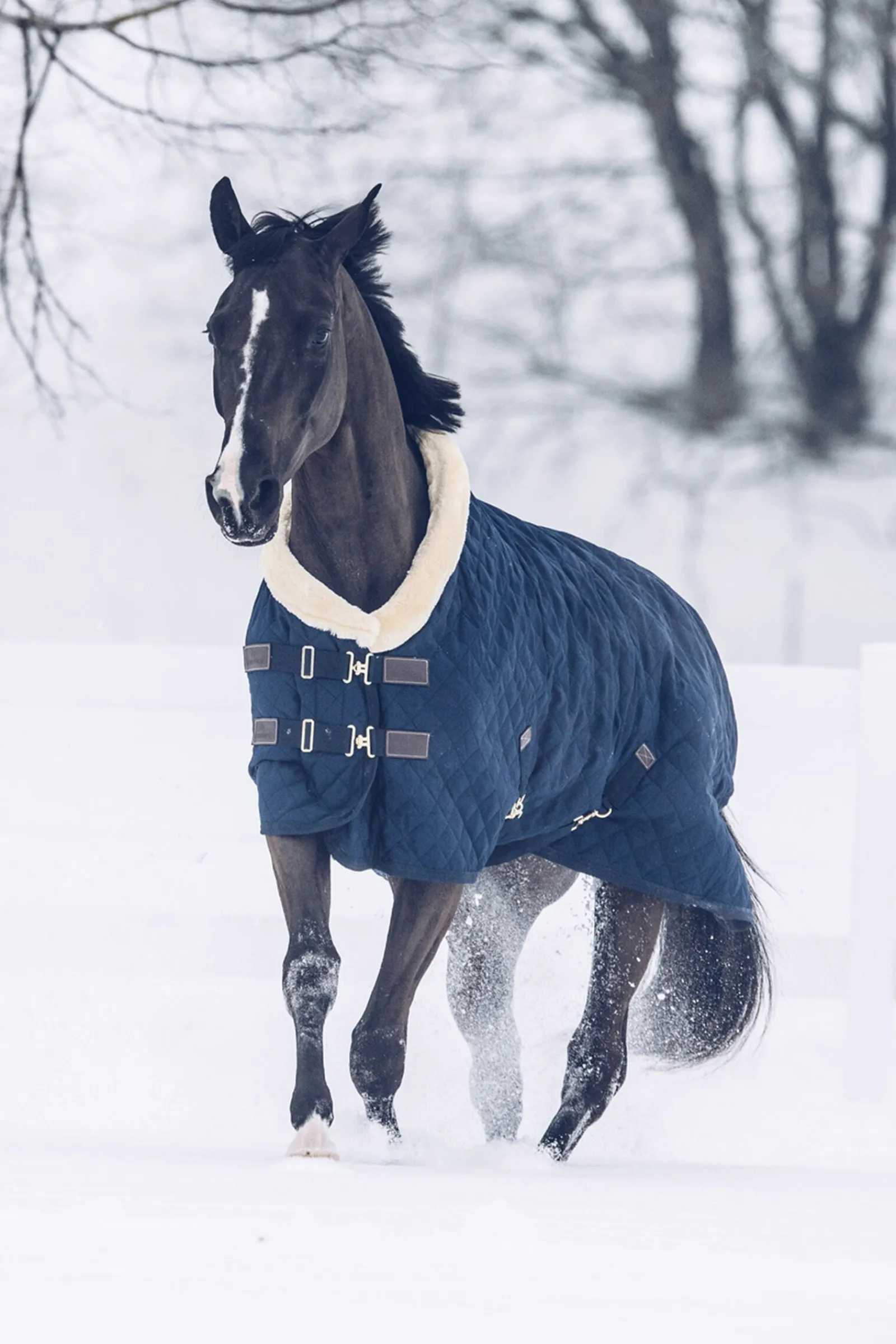 Hot Horsewear showdekken, 160 gram Stalldekken