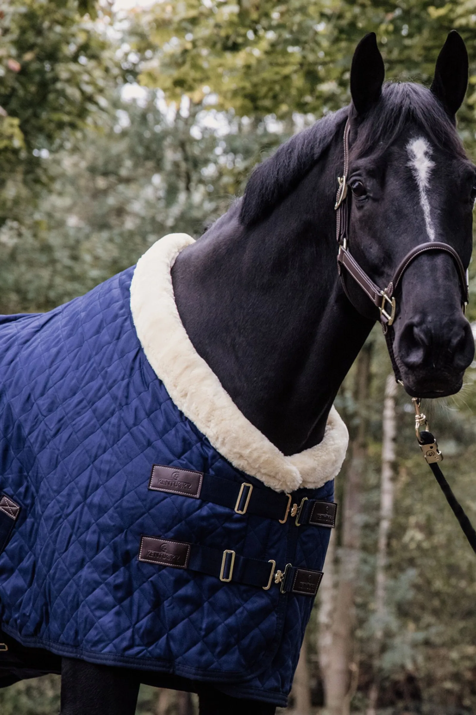 Hot Horsewear showdekken, 160 gram Stalldekken