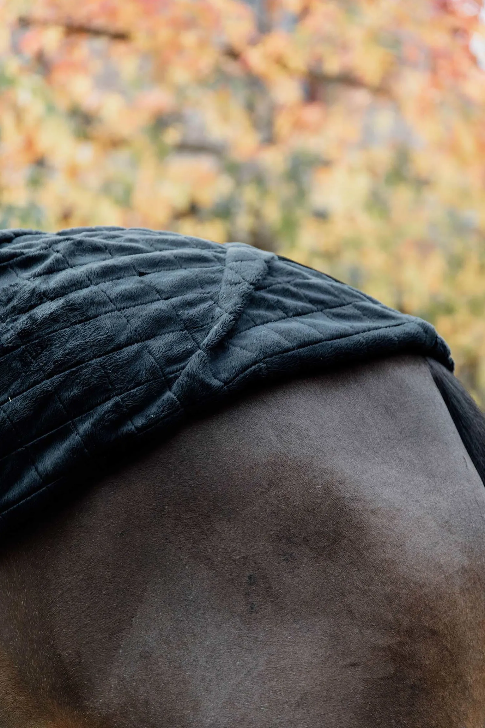 Outlet Horsewear stable rug 0g Stalldekken