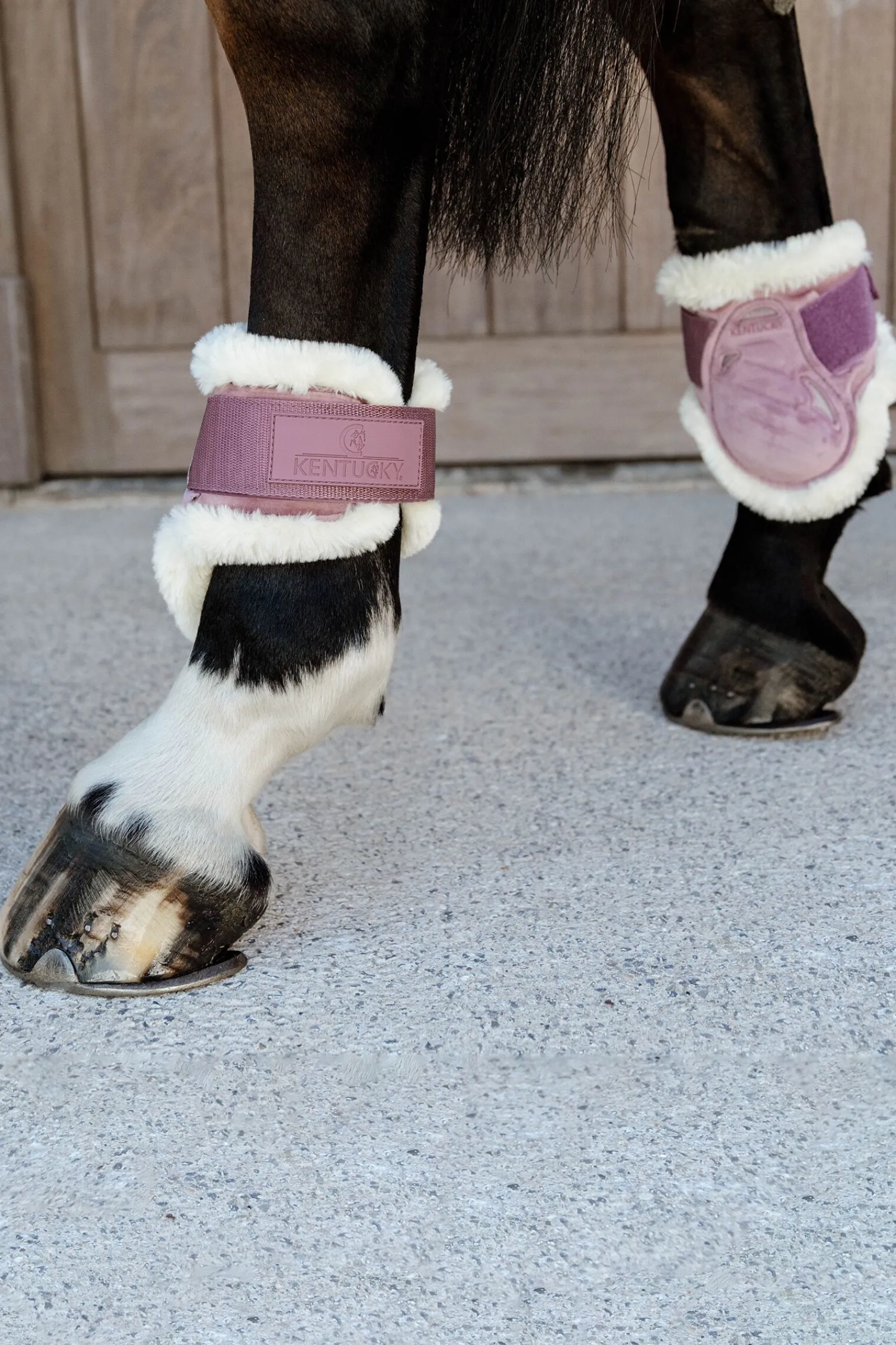 Best Horsewear Vegansk saueskinn Young Horse Fetlock Boots Velvet Bakbeinsbelegg Og Stryksokker