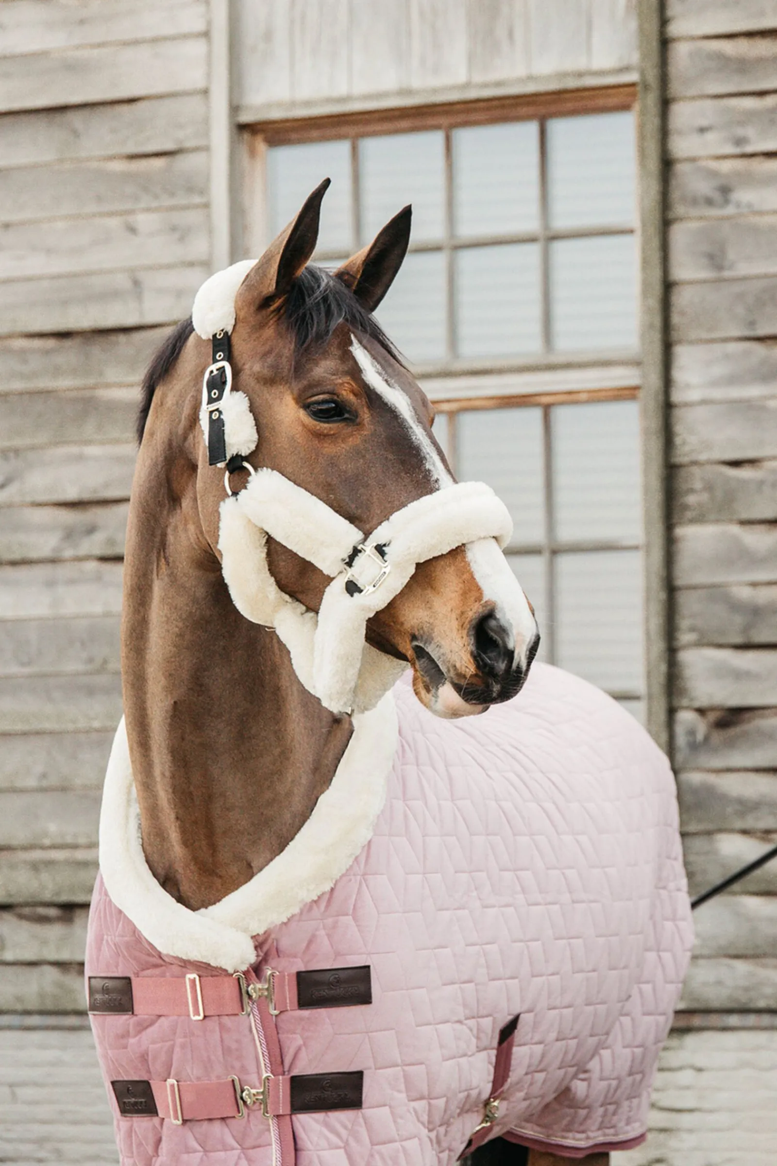 Sale Horsewear Velvet stevnedekken, 160 gram Stalldekken