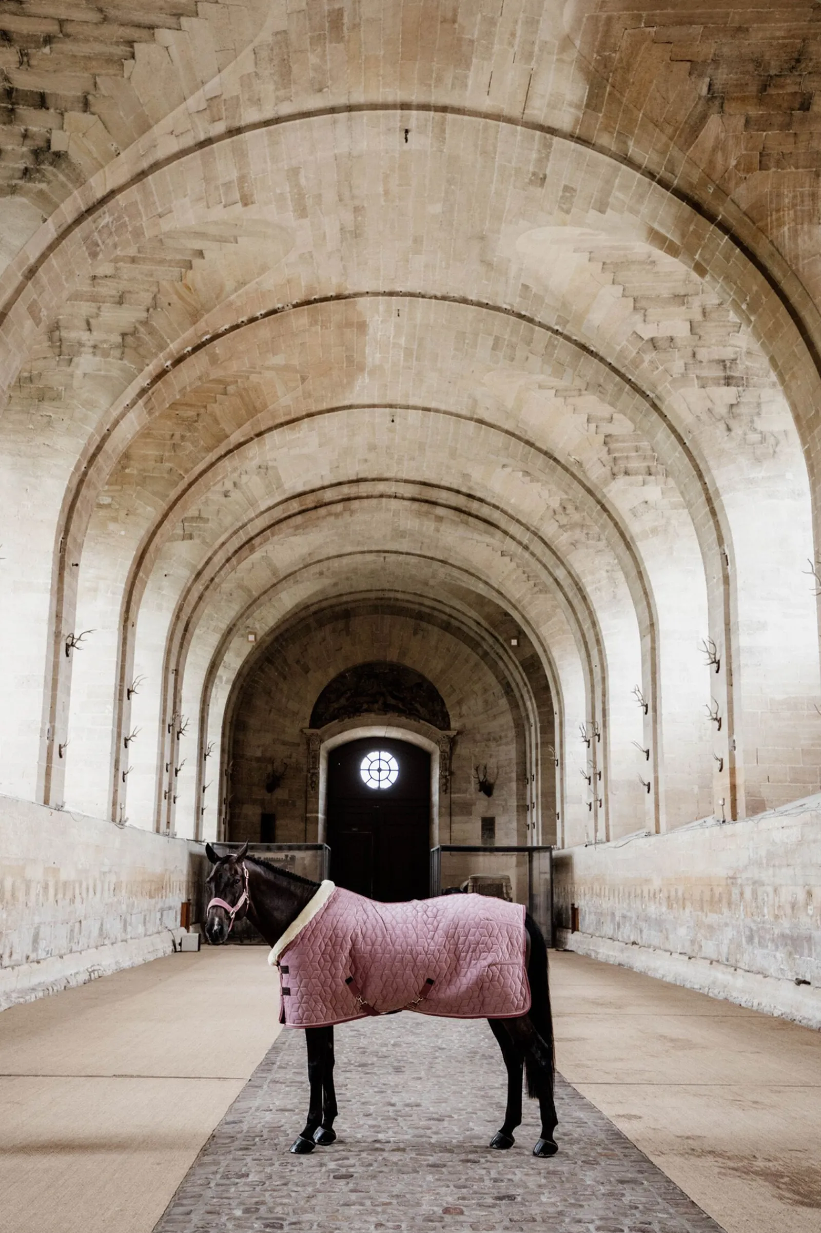 Sale Horsewear Velvet stevnedekken, 160 gram Stalldekken