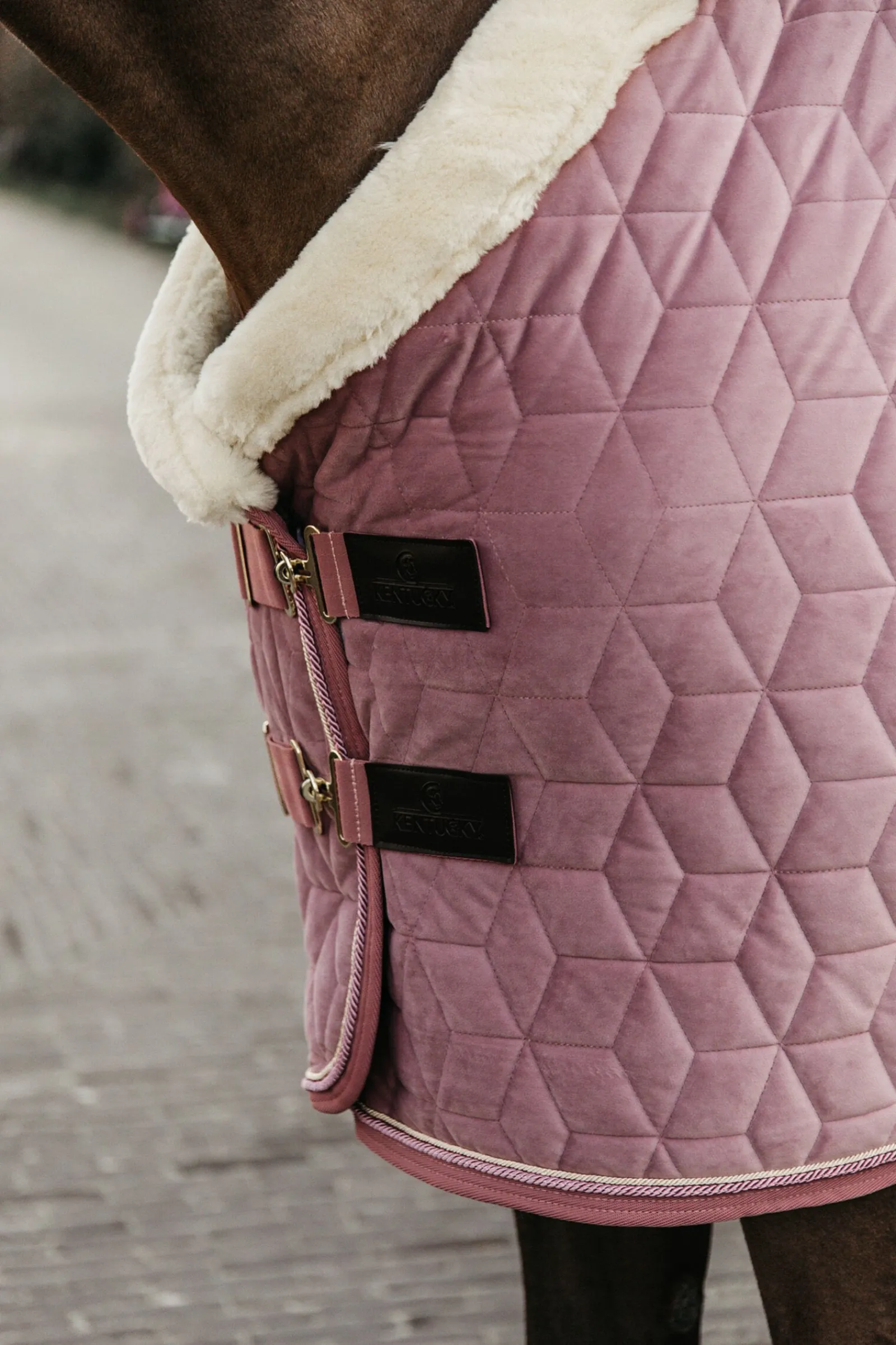 Sale Horsewear Velvet stevnedekken, 160 gram Stalldekken