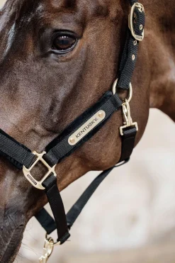 Online Horsewear Velvet grime Grimer