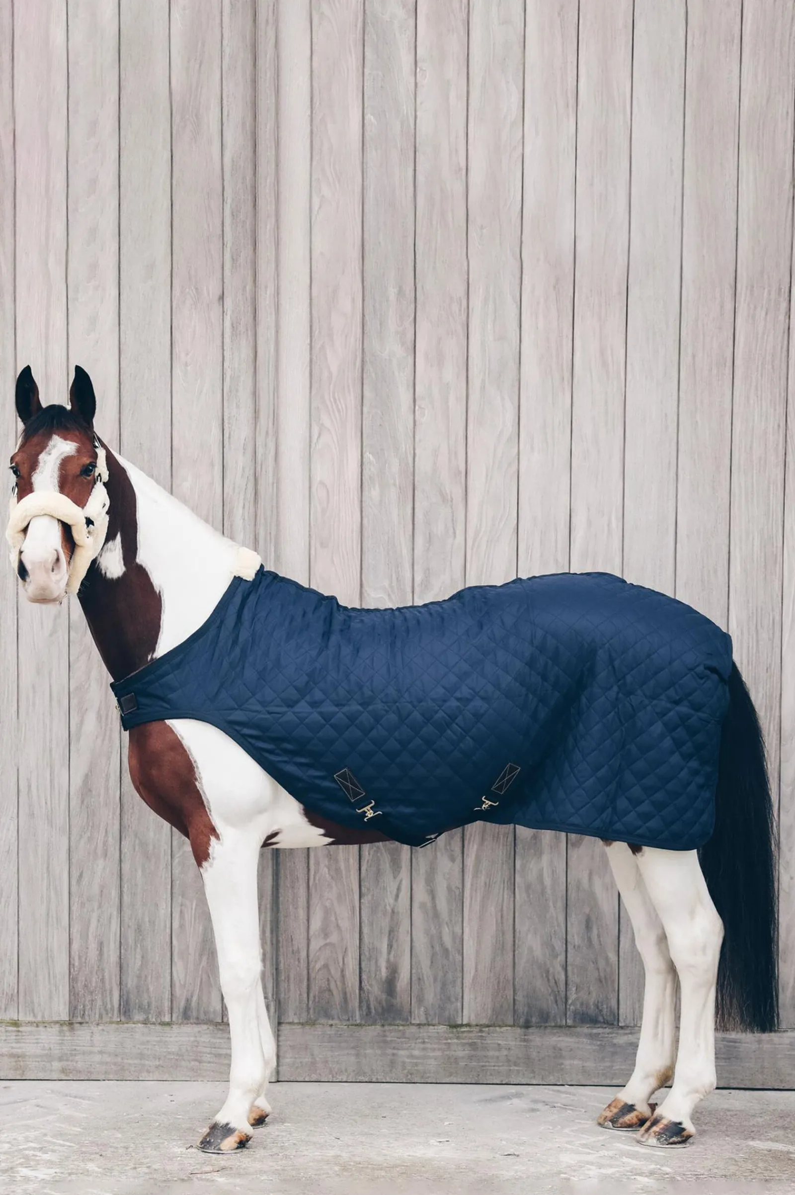 Discount Horsewear walkerdekken, 160 gram Skrittedekken Vanntett