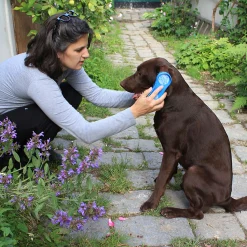 New Magic Brush, hund Pleieprodukter Til Hund