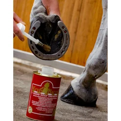 Kevin Bacon Hovpleie