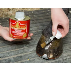 Discount Kevin Bacon Hovpleie