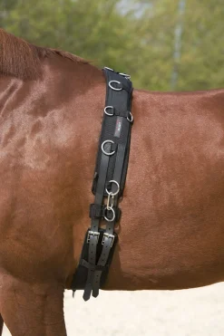 Outlet longeringsgjord Longeringsliner Og Doble Longeringsliner|Longeringsliner Og Doble Longeringsliner